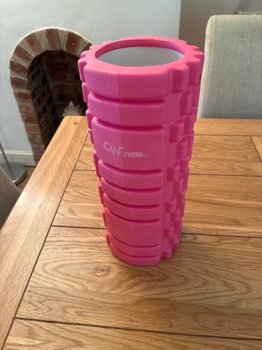 — Fitness Roller