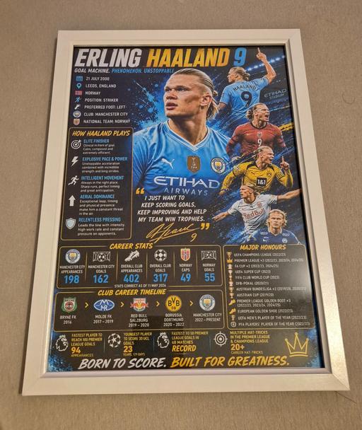  — A4 haaland poster