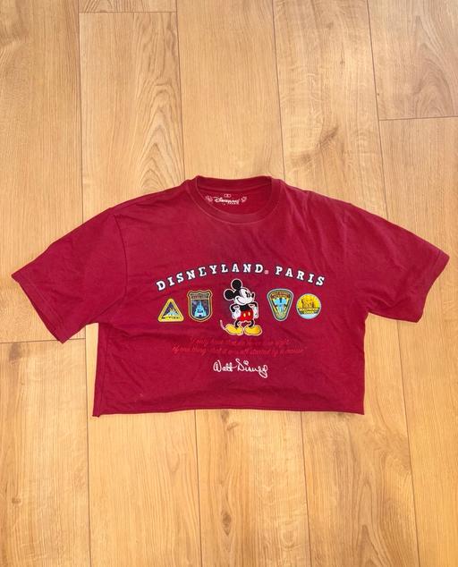  — Disneyland Paris Crop Top