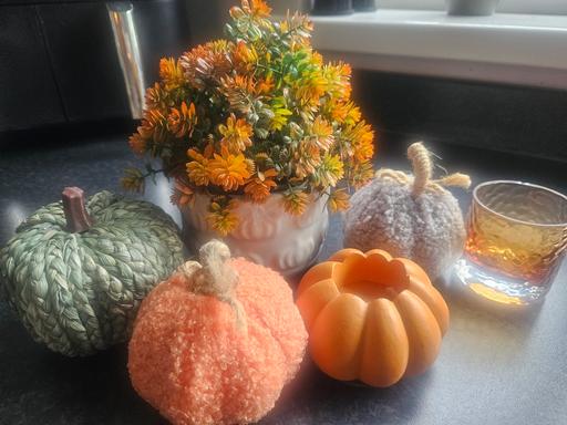  — autumn 🍂 home decor