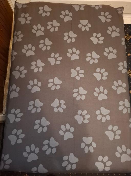  — FLAT DOG 🐕 MAT