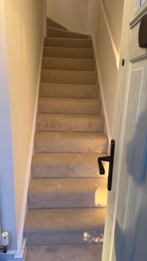  — Laminate and Carpet