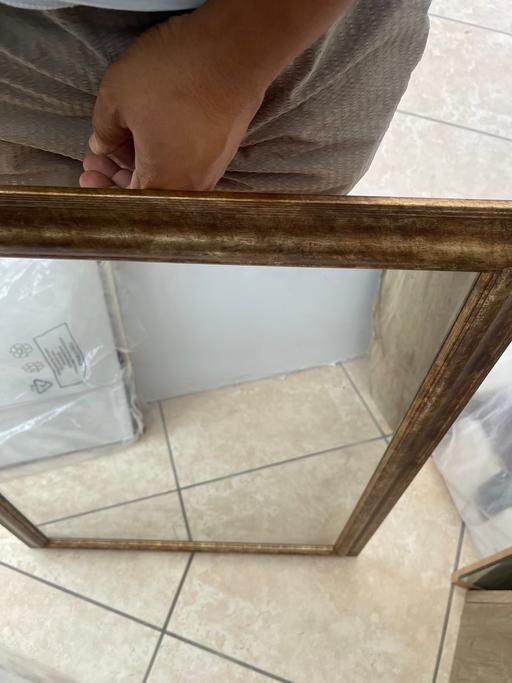  — Mirror