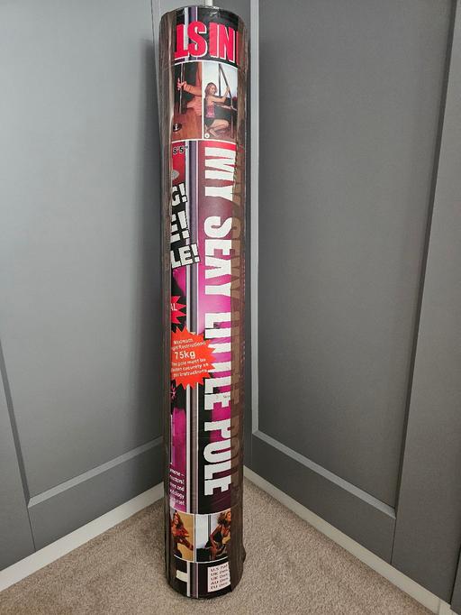  — pole for dancing or fitness -silver