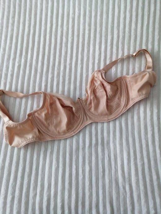  — ladies bra size *30FF*