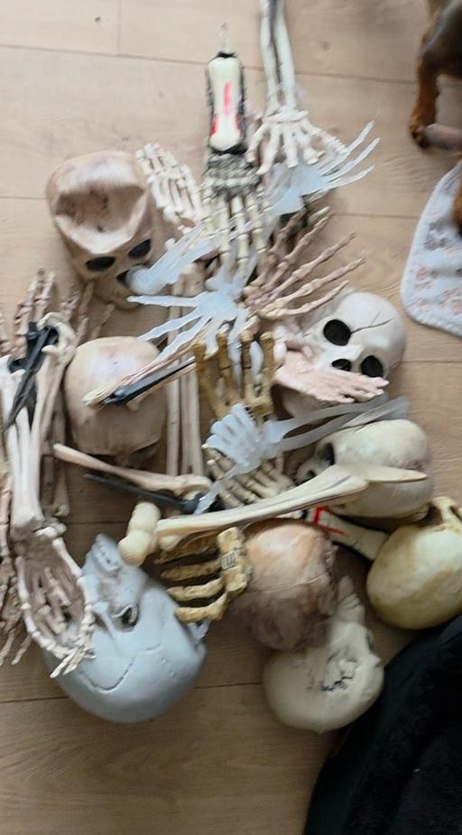  — loads of bones