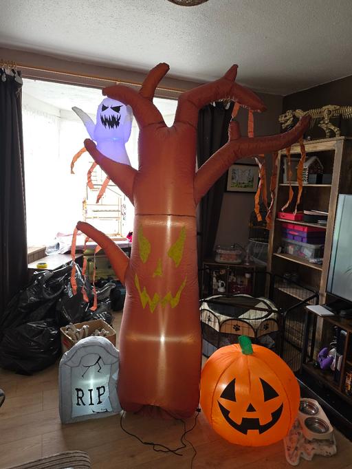  — large blow up tree