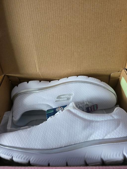  — Brand New Sketchers Size 5. 5