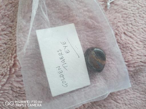  — Tigers eye