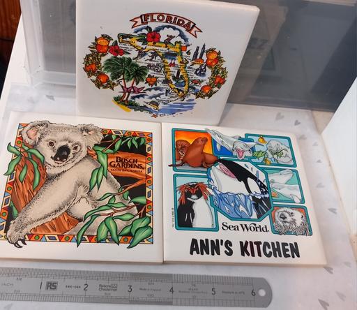  — 03 Retro 90s Florida Theme Park Coasters