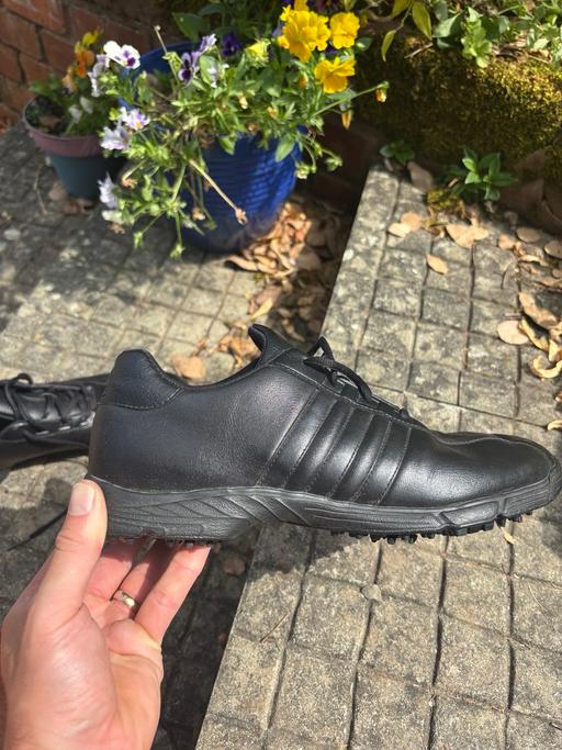  — Adidas Golf Shoes