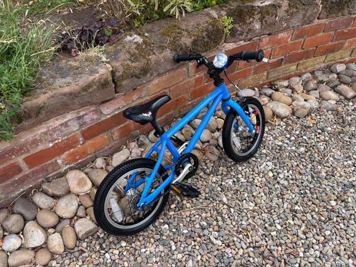  — 14” Wild Children’s bike
