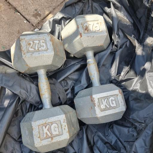  — cast iron dumbbells 2x27.5kg