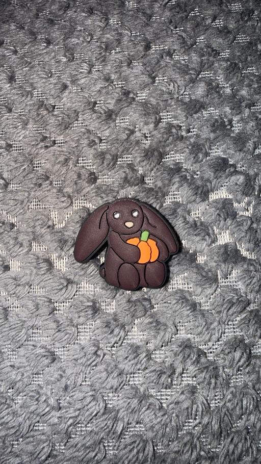  — Pumpkin bunny croc charm