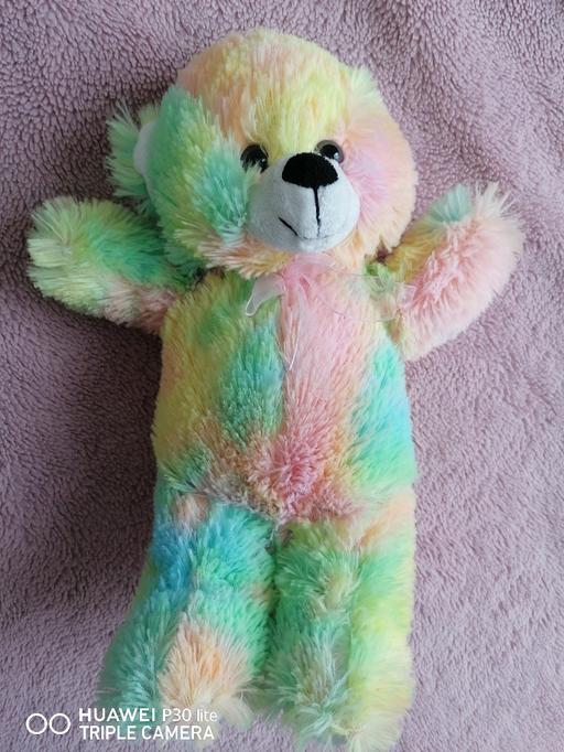  — Rainbow teddy bear