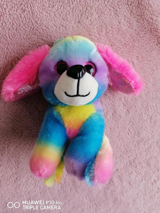  — Rainbow dog