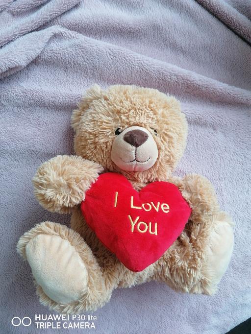  — I Love You teddy