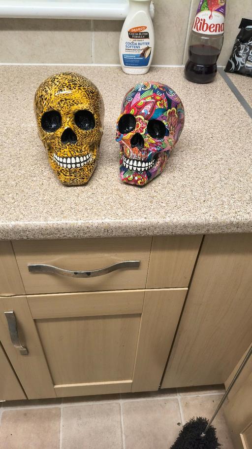  — two skulls