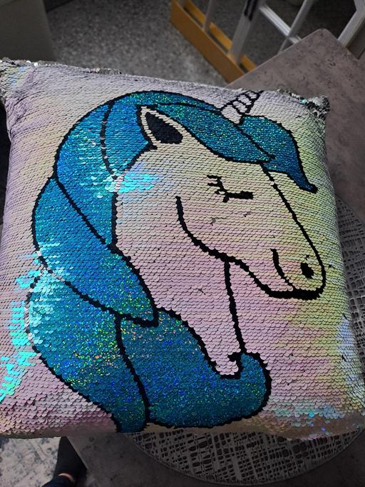  — large sequin cushion