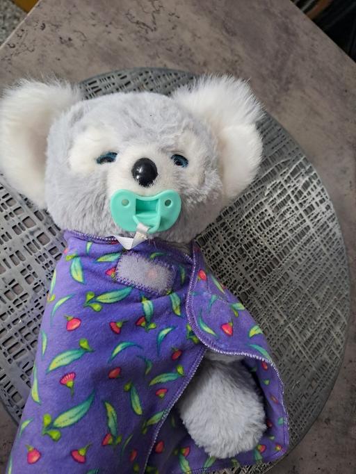  — soft koala with dummy