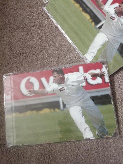  — New cricket metal/tin sign