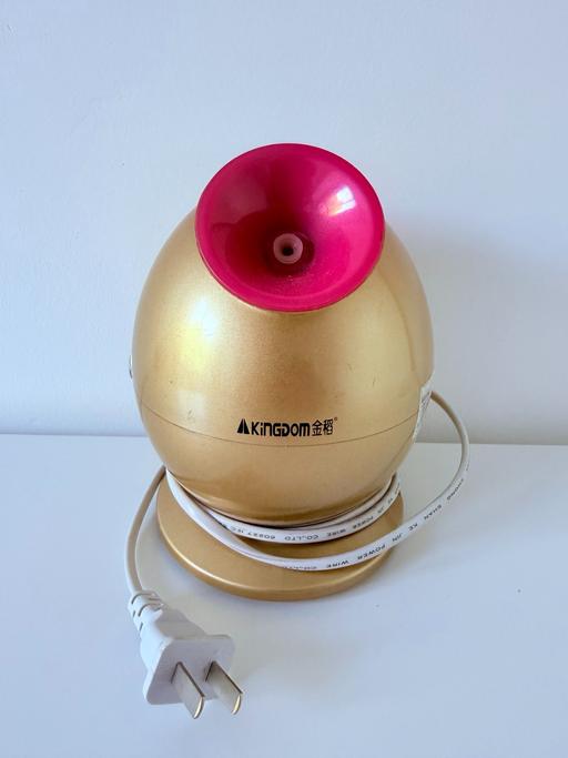  — Kingdom Facial Steamer