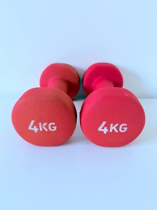  — 4kg Fitness Dumbbells