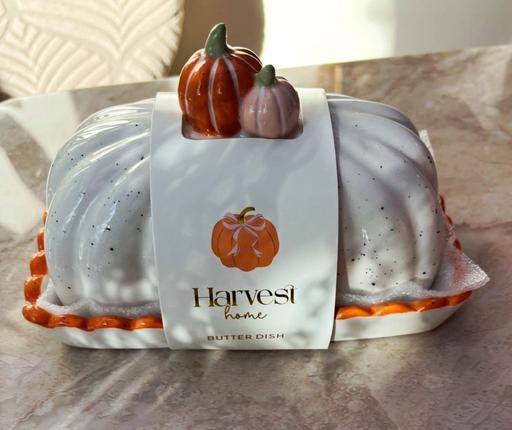  — Pumkin butter dish