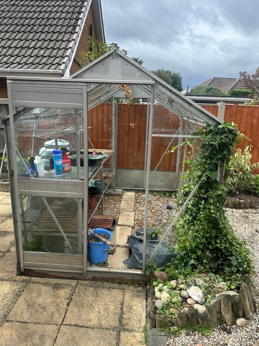  — Greenhouse 8x6 Feet - Bench/Trays