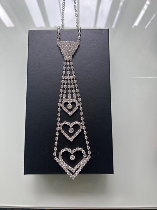  — New ladies necklace.