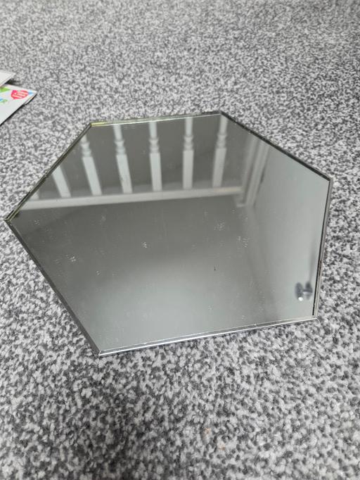  — Mirror plate
