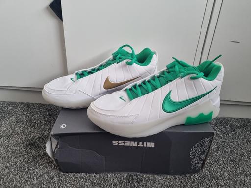  — nike lebron witness