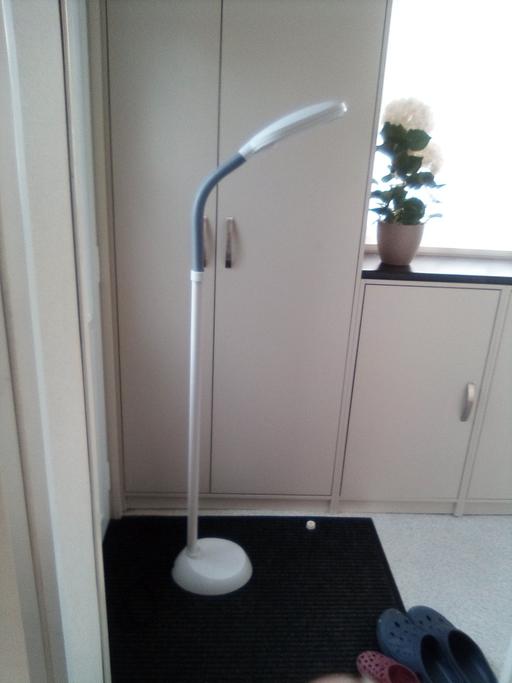  — standard lamp