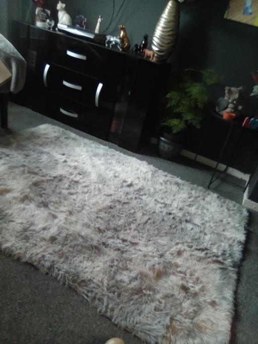  — rug