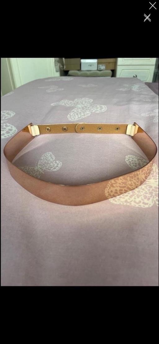 — Metal Belt