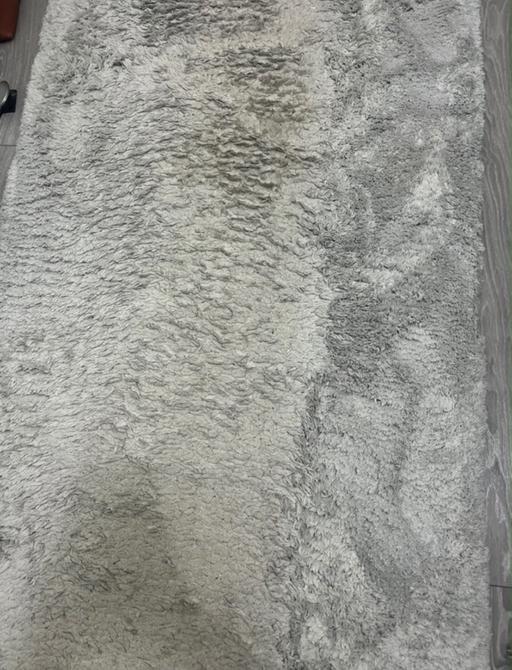  — Shaggy rug
