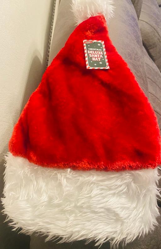  — Deluxe Christmas hat one size