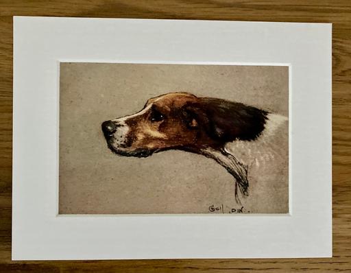  — Pointer Dog Print Mounted by Cecil Aldin