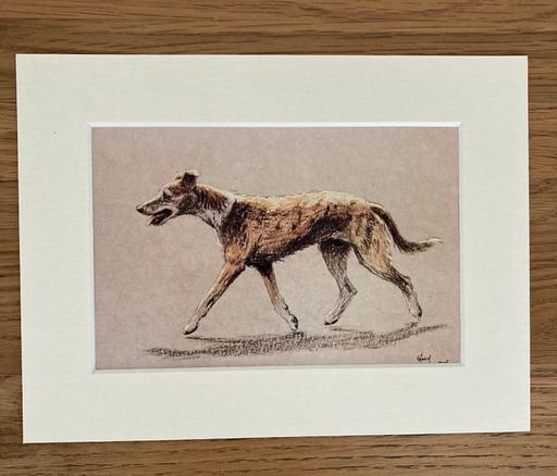  — Lurcher Dog Print Mounted by Cecil Aldin