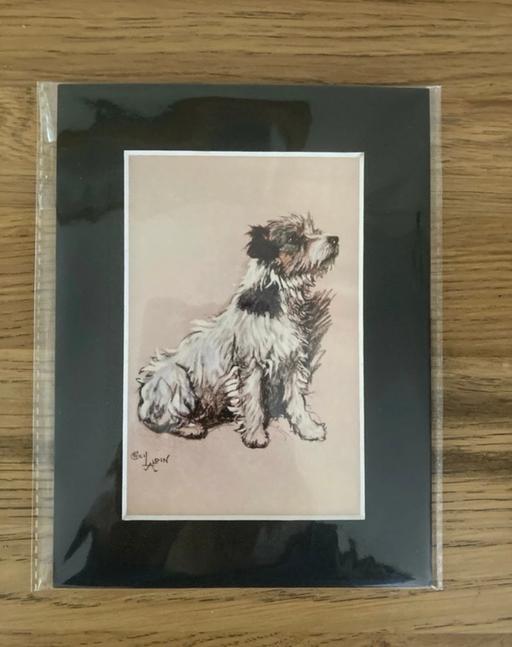  — Jack Russell Dog Print Mounted by Cecil Aldin