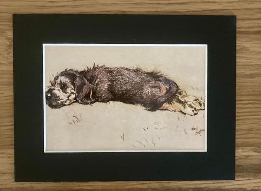 — Mongrel Dog Print Mounted by Cecil Aldin