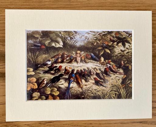  — Fairy Print Mounted