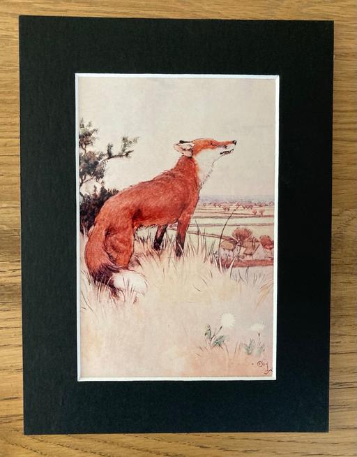  — Fox Print Mounted by Cecil Aldin
