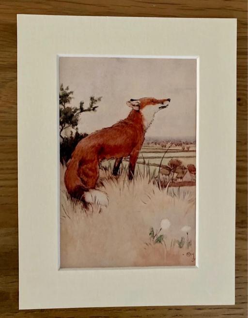 — Fox Print Mounted by Cecil Aldin
