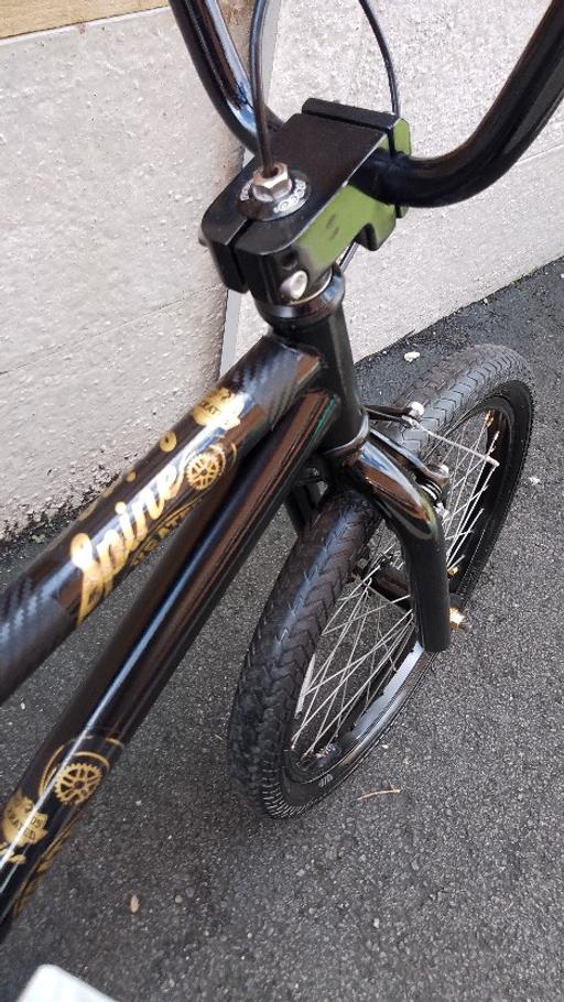  — x rated spine BMX 20' wheel