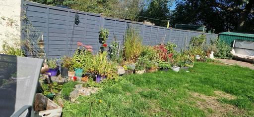  — Garden plants