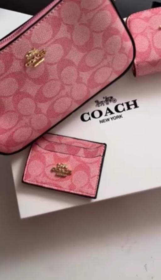  — Coach bag