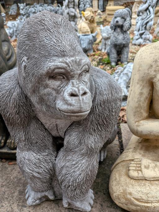  — Large Gorrilla