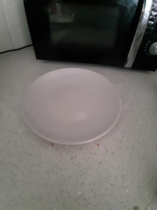  — plate