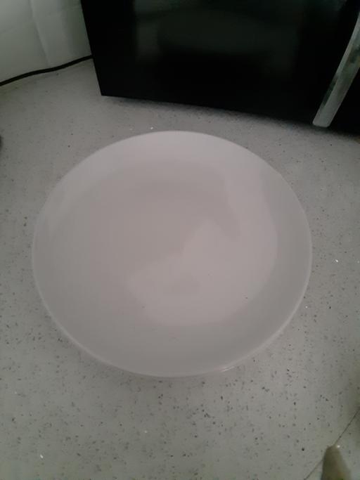  — dinner plate